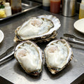 Fresh Raw Oysters